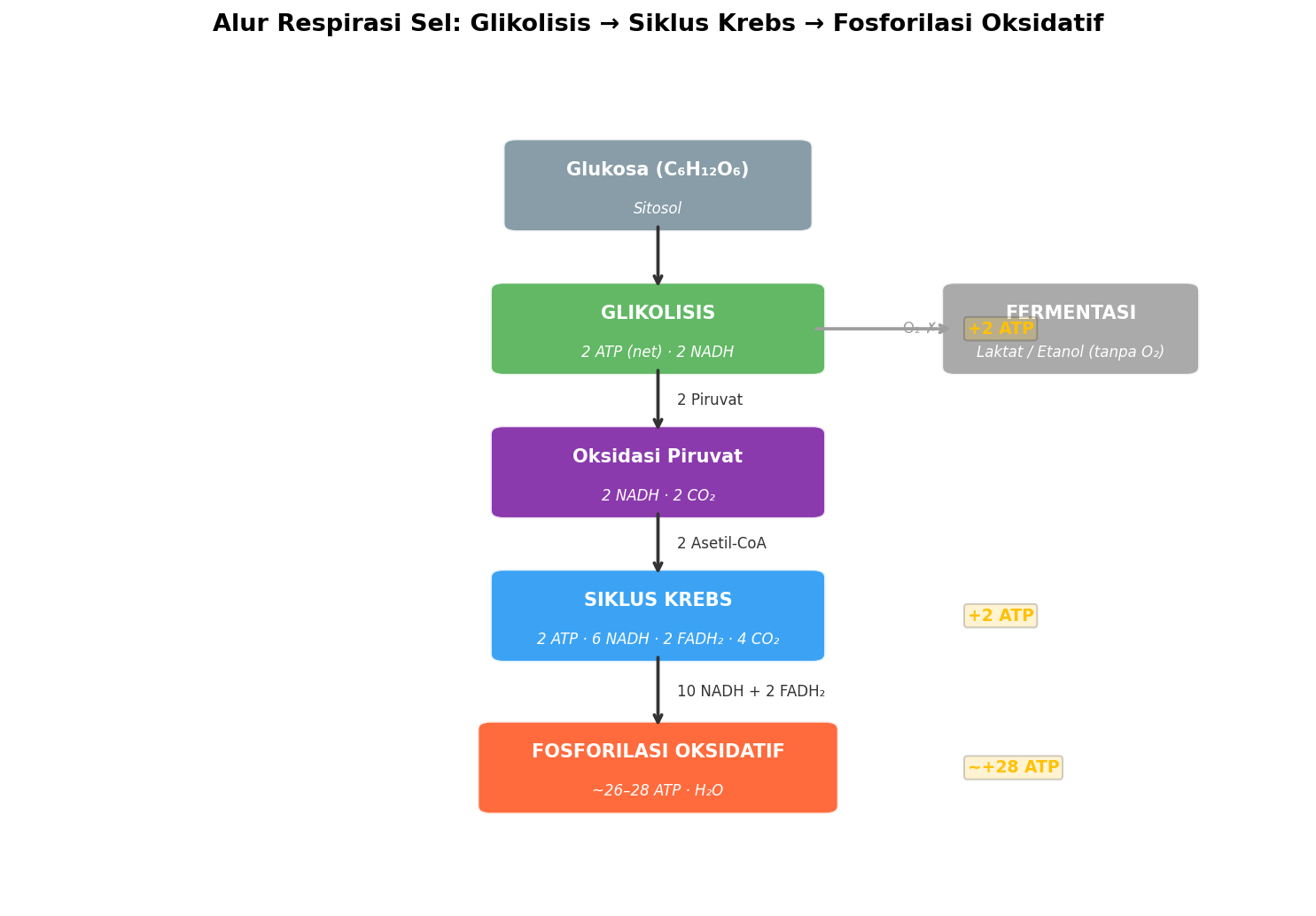 Alur respirasi seluler: Glikolisis → Krebs → FosOks